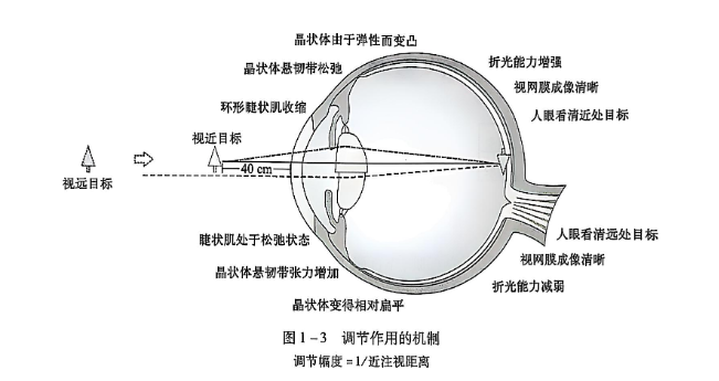 1-3 调节作用的机制.PNG