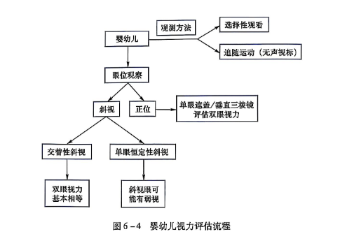 6-4婴幼儿视力评估梳理.PNG