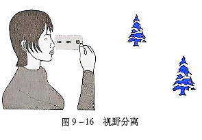 9-16视野分离.PNG