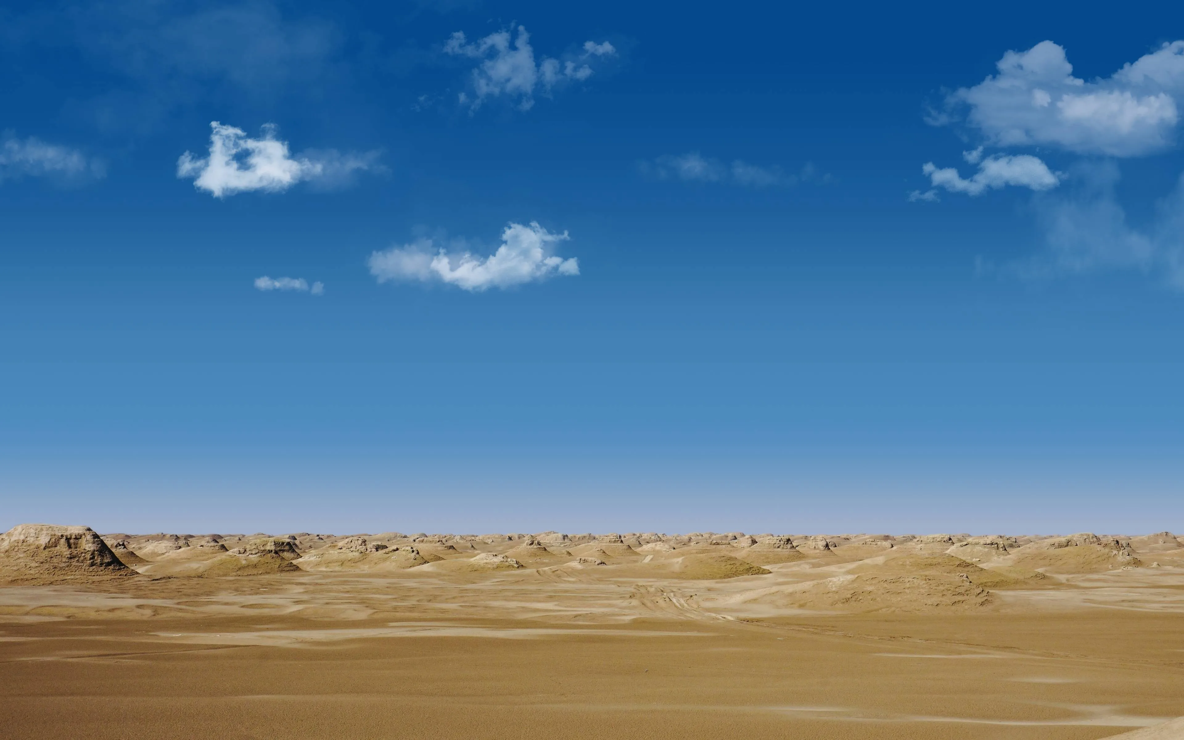 large picture of the cover